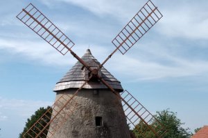 2020-07-25 Výtet - Kuželovský mlýn